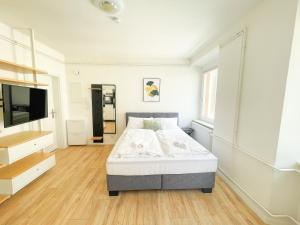 格拉茨StayHere Central City Studio 4 - contactless Self-Check-IN的一间卧室配有一张床和一台平面电视