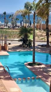 洛斯阿尔卡萨雷斯Casa Allegra的一座种植了棕榈树和大海的蓝色游泳池
