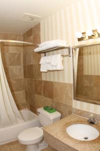 Kutztown库茨敦/阿伦敦速8酒店的浴室配有卫生间、盥洗盆和浴缸。