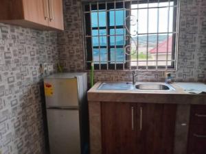 阿克拉Abokobi Cosy Home的厨房配有水槽和冰箱