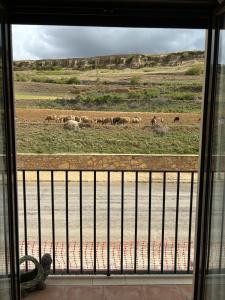巴尔德利纳雷斯Casa ELENA i MARTA , Valdelinares的从田野的窗户欣赏动物美景