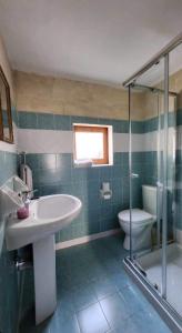 萨奈特Sannat Hills Farmhouse的一间带水槽、卫生间和淋浴的浴室