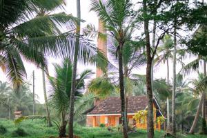 MakanduraChimney House by Serendia的棕榈树林中的一座房子
