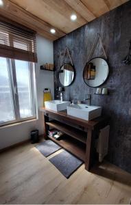 DrusenheimGite & Spa Au pommier fleuri et son "Appart" indépendant的浴室设有2个水槽和2面镜子