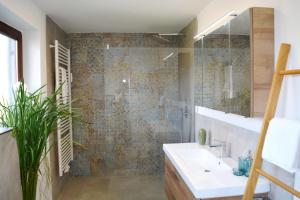基姆高地区阿绍Zillibilly的带淋浴、盥洗盆和镜子的浴室