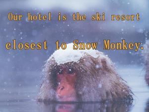 山之内町奇多伊科温泉酒店的雪中的人