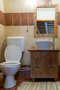 维斯克里Viscri 195的一间带卫生间、水槽和镜子的浴室