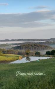 JeleniewoCisowe Sioło的草地上池塘的景色