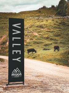 科马尔尼克Moon Valley Comarnic的两头牛在路边放着标志的牧场上放牧