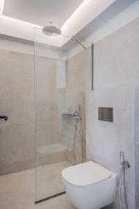 斯塔里斯Maistrali Sea View Apartments的一间带卫生间和玻璃淋浴间的浴室