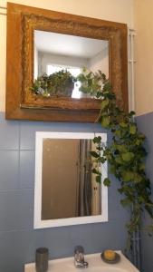 CarnevilleGite du Manoir des Anoteux的浴室水槽上方的镜子和植物