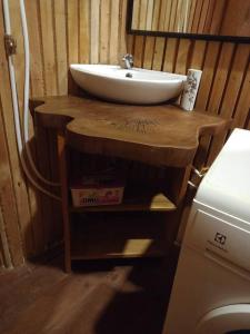 克里比Appartement Chalet type f3的木制柜台上带水槽的浴室