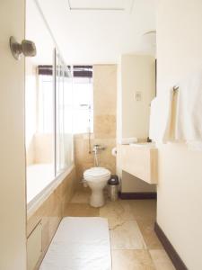 德班奥尔巴尼酒店的一间带卫生间和水槽的浴室