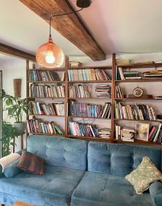 GiebułtówDziejba Izerska的书架前带蓝色沙发的客厅