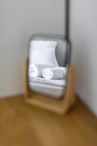 卡尔洛瓦茨Villa Forestview的镜子反射着房间内的毛巾