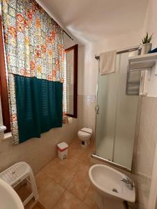 法维尼亚纳A Due Passi dal Centro的带淋浴帘和卫生间的浴室