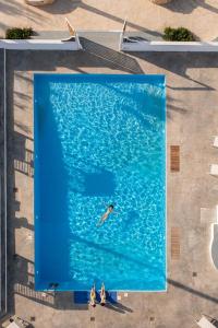 阿德里安诺斯坎波斯Thalasses的游泳池游泳者的头顶景色