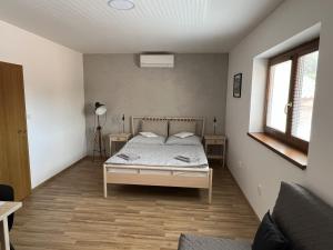 米库洛夫Pension Mikulov的一间卧室配有一张床、一张沙发和一个窗口