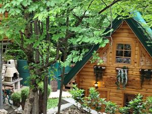 采蒂涅Brvnara Fairy Tale的树林中的一个树屋