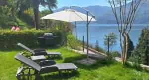 Pino Lago MaggioreCasa le Palme的草上一组椅子和一把伞