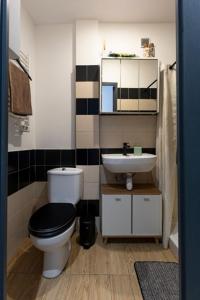 马赛Le cosy的一间带卫生间和水槽的小浴室
