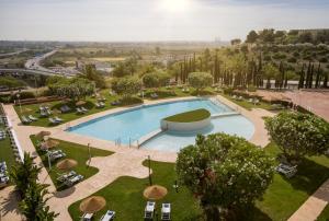 圣胡安德亚斯纳尔法拉切Ilunion Alcora Sevilla的公园游泳池的顶部景色