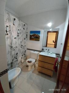 贝纳卡松"Casa Colorá" en Sevilla的一间带卫生间、水槽和镜子的浴室