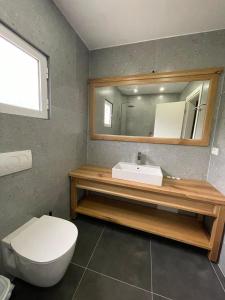 希马拉Hotel Jali的一间带水槽、卫生间和镜子的浴室
