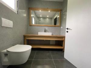 希马拉Hotel Jali的一间带卫生间、水槽和镜子的浴室