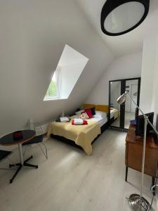 姆热日诺Białe Tarasy的一间卧室配有一张床、一张桌子和一面镜子