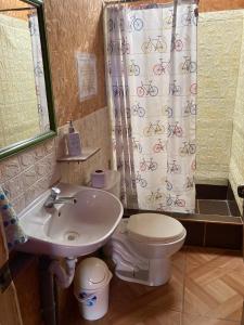 帕拉卡斯Paracas Camp Lodge & Experiences的浴室配有水槽、卫生间和浴帘