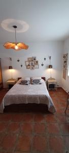 艾格-莫尔特Le Petit Patio的一间卧室配有一张大床和两盏灯。