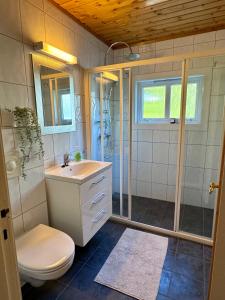 翁达尔斯内斯Villa Utsikten Kongen的带淋浴、卫生间和盥洗盆的浴室
