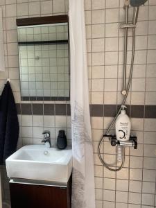 斯朗厄鲁普Cozy private annex near bathing lake and 30 min. from Copenhagen的一间带水槽和淋浴帘的浴室