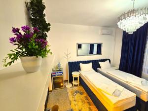 普洛耶什蒂PERFECT VILLA Ploiesti的一间设有两张床的房间和墙上的植物