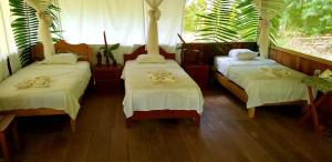 伊基托斯Amazon Tropical Expeditions的一间卧室设有两张带白色床单的床和窗户。