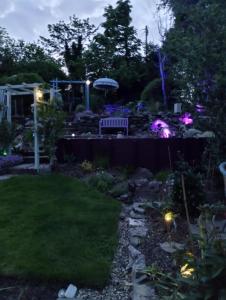 康威Pentre ISAF的夜间带长凳和灯光的花园
