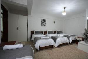 帕莫卡莱OzenTurku Hotel的一间客房内设有四张床的房间