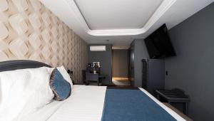 墨西哥城佛蒙特州酒店的一间卧室配有一张大床和电视