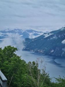 奇文纳Il Posticino DI Bellagio的享有树木和山脉的湖泊美景