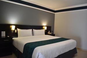 莱昂InHouse León的一间卧室配有一张带绿毯的大床