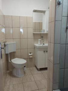 NerežišćeKuća Jakov的一间带卫生间和水槽的小浴室
