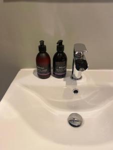斯佩河畔格兰敦Brooklynn Guest House的浴室水槽内备有两瓶肥皂