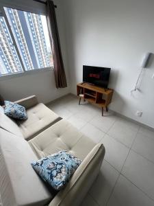 圣保罗Apartamento em São Paulo的带沙发和电视的客厅