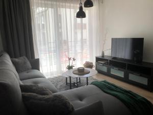 考纳斯Cosy 1 bedroom apartment in the heart of old town with parking的带沙发、电视和桌子的客厅