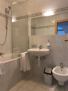 塞费尔德附近赖特梅勒霍夫酒店的一间带水槽、卫生间和淋浴的浴室