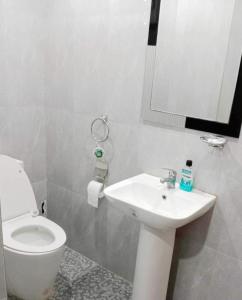 苏里高Casa Rosita Beach Front House的一间带卫生间、水槽和镜子的浴室