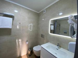 彼得罗巴甫洛夫斯克Skif HOTEL & SPA的一间带水槽、卫生间和镜子的浴室
