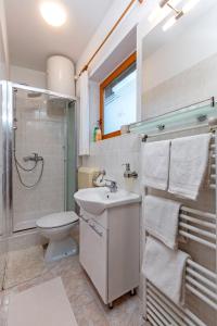 普拉Studio Apartment Oliva的一间带水槽、卫生间和淋浴的浴室