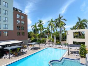 达尔文达尔文滨海希尔顿逸林酒店的棕榈树酒店游泳池的形象